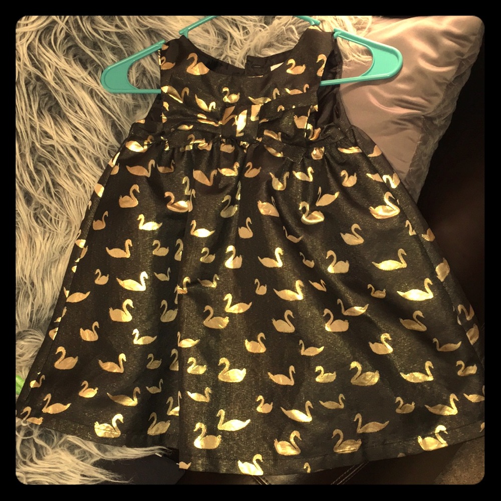 Black and Gold Swan✨🖤
